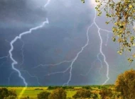 Початок тижня на Сумщині: очікується дощ та грози